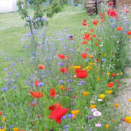 Studio Avec Jardin Clos Et Wifi A Charente
